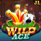 Wild Ace spentime slot